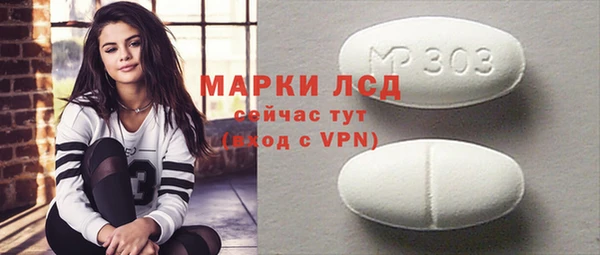 стафф Алзамай