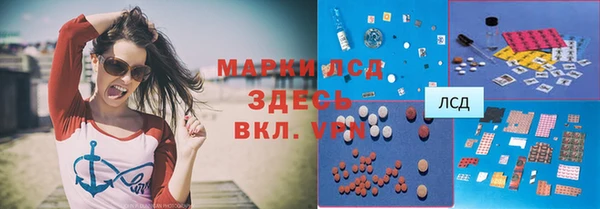 стафф Алзамай