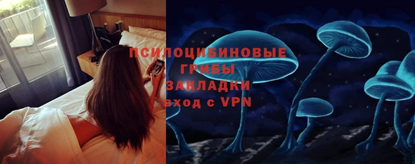 стафф Алзамай