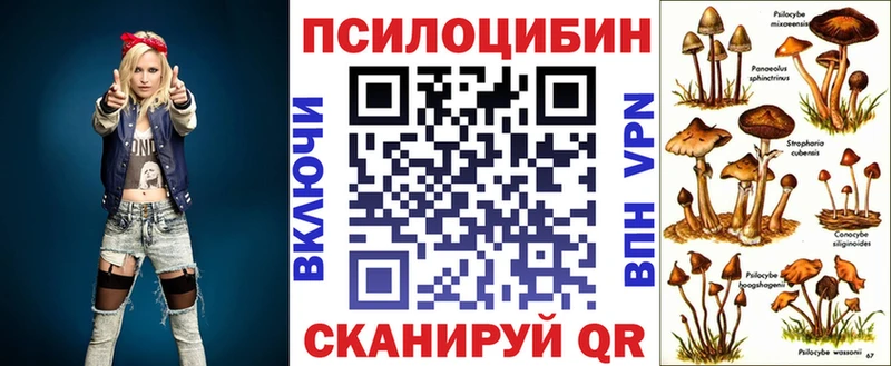 Псилоцибиновые грибы мухоморы  blacksprut зеркало  Ахтубинск 